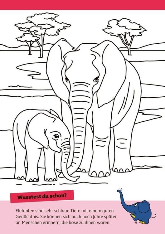 Produktbild: Die Maus - Malblock mit Sachwissen Natur & Tiere