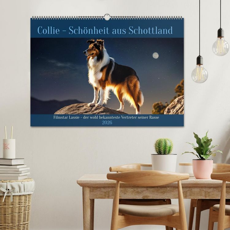 Produktbild: Traumhund Collie (Wandkalender 2026 DIN A2 quer), CALVENDO Monatskalender