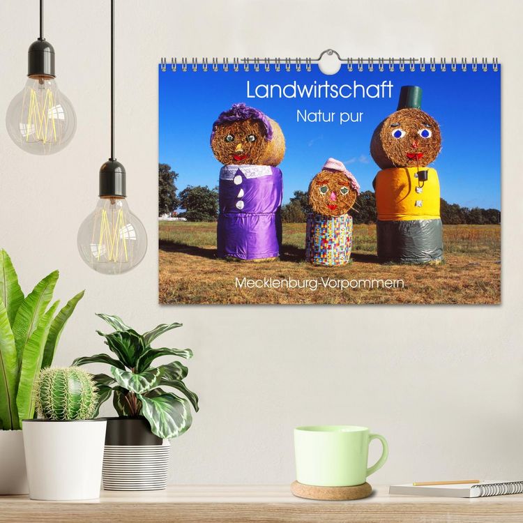 Produktbild: Landwirtschaft Natur pur Mecklenburg-Vorpommern (Wandkalender 2026 DIN A4 quer), CALVENDO Monatskalender