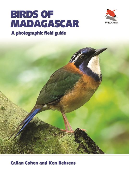 Produktbild: Birds of Madagascar