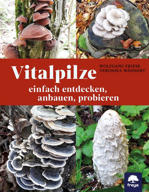 Produktbild: Vitalpilze