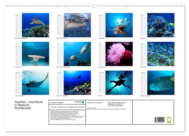 Produktbild: Tauchen - Abenteuer in Neptuns Wunderwelt (Wandkalender 2026 DIN A2 quer), CALVENDO Monatskalender