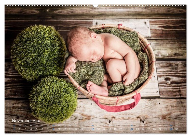 Produktbild: Baby - s&uuml;&szlig;e Tr&auml;ume (Wandkalender 2026 DIN A2 quer), CALVENDO Monatskalender