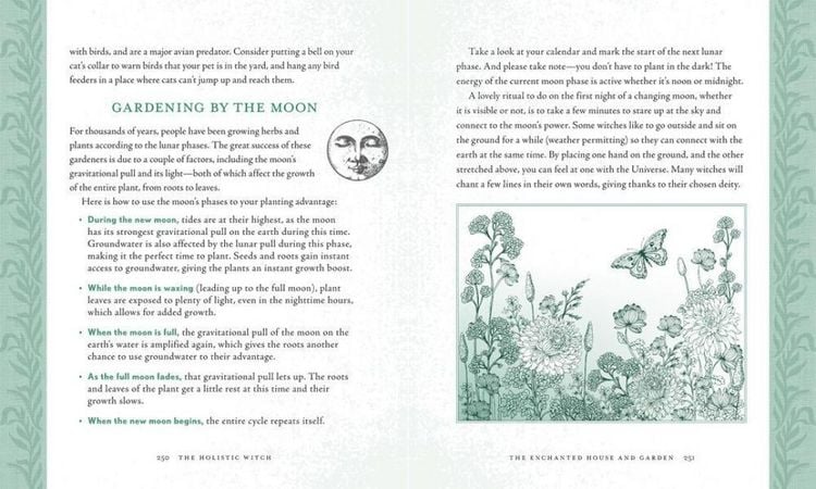 Produktbild: The Holistic Witch