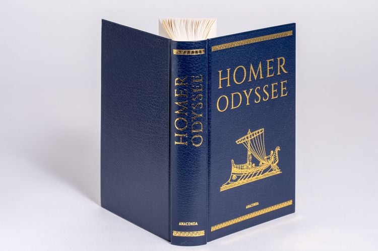 Produktbild: Homer, Odyssee