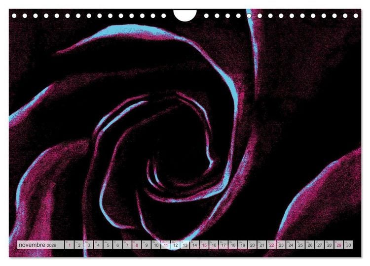 Produktbild: Roses peintes (Calendrier mural 2026 DIN A4 vertical), CALVENDO calendrier mensuel