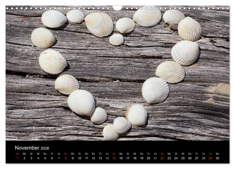 Produktbild: Strandgut und Meer 2026 (Wandkalender 2026 DIN A3 quer), CALVENDO Monatskalender