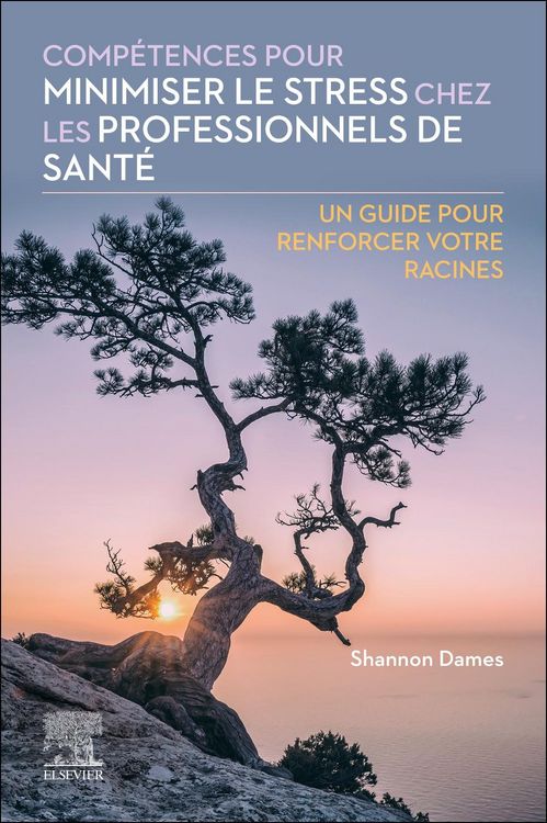 Produktbild: Dames, S: Competences pour minimiser le stress chez les prof