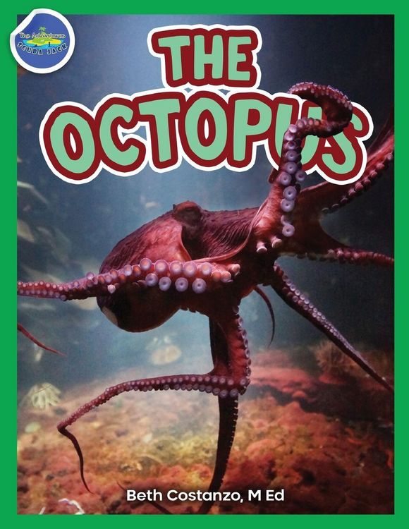 Produktbild: The Octopus ages 2-4