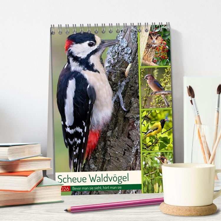 Produktbild: Scheue Waldv&ouml;gel (Tischkalender 2026 DIN A5 hoch), CALVENDO Monatskalender