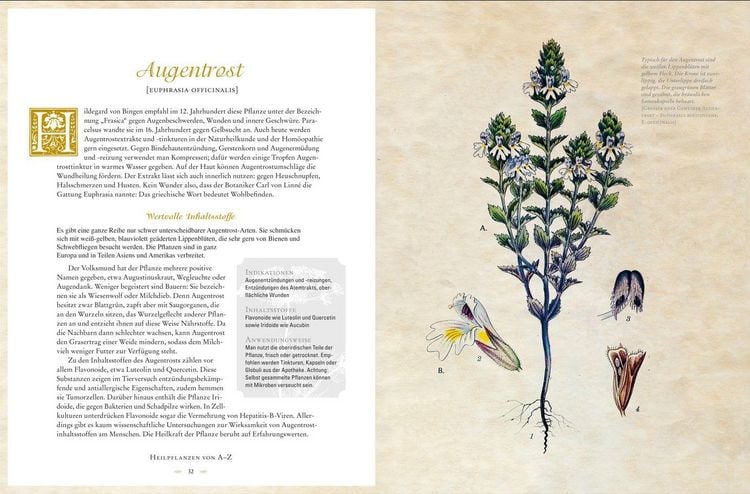 Produktbild: Die Heilkunst alter Zeiten