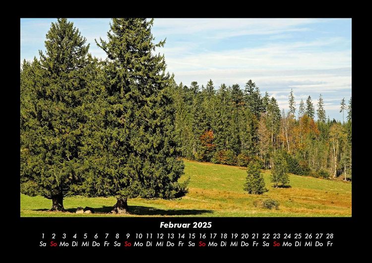 Produktbild: B&auml;ume 2025 Fotokalender DIN A3