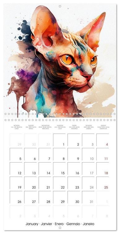 Produktbild: Cat Breeds in Watercolor (Wall Calendar 2026 12 &times; 12 Inch) CALVENDO 12 Month Wall Calendar