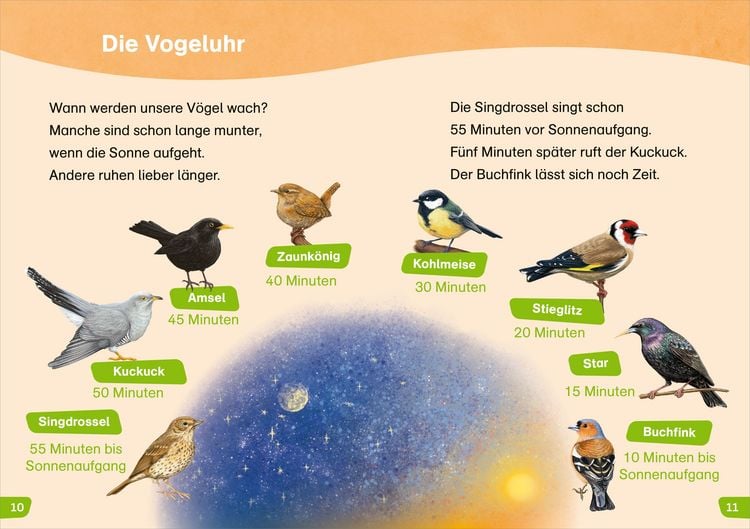 Produktbild: WAS IST WAS Erstes Lesen easy! Wie leben unsere V&ouml;gel?