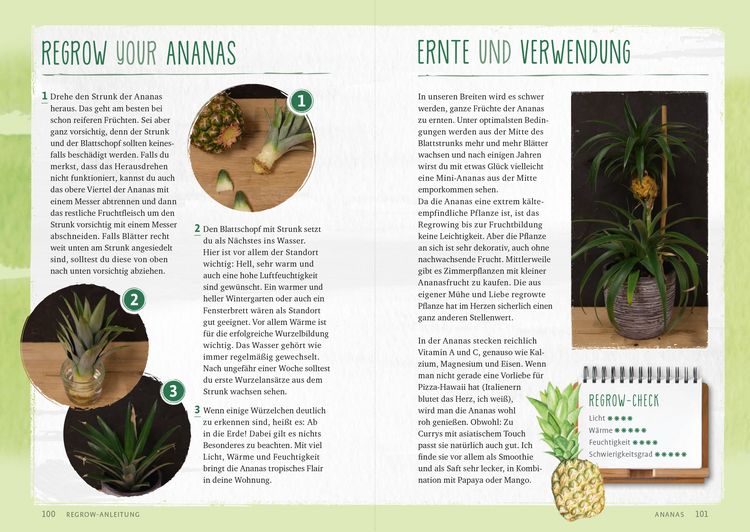 Produktbild: Regrow your veggies