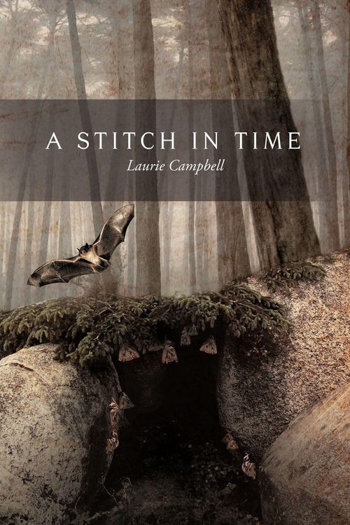 Produktbild: A Stitch in Time