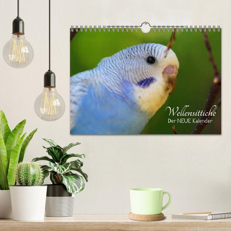 Produktbild: Wellensittiche - der NEUE Kalender (Wandkalender 2026 DIN A4 quer), CALVENDO Monatskalender