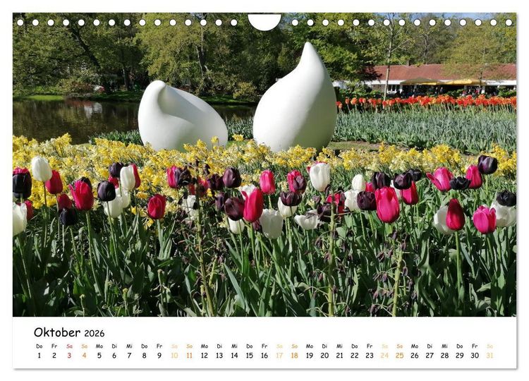 Produktbild: Auf Tour im Land der Tulpen (Wandkalender 2026 DIN A4 quer), CALVENDO Monatskalender