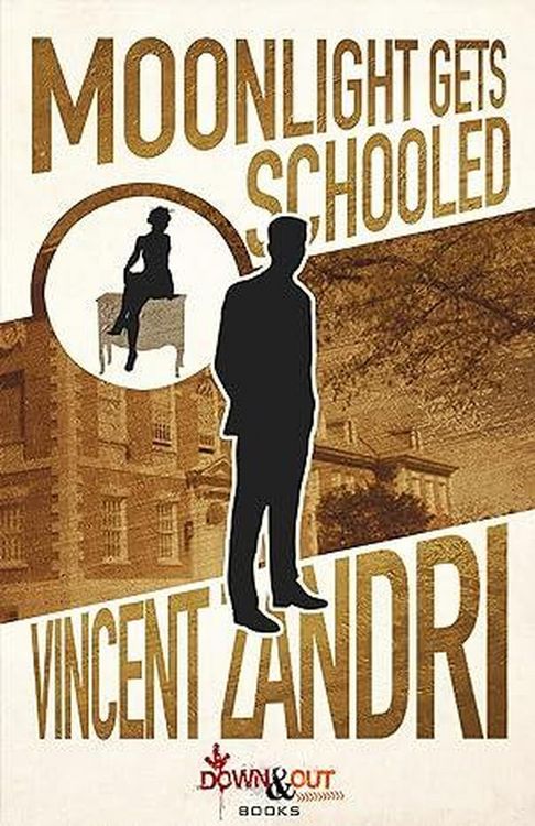 Produktbild: Moonlight Gets Schooled