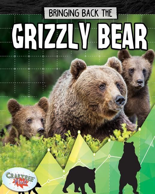 Produktbild: Grizzly Bear