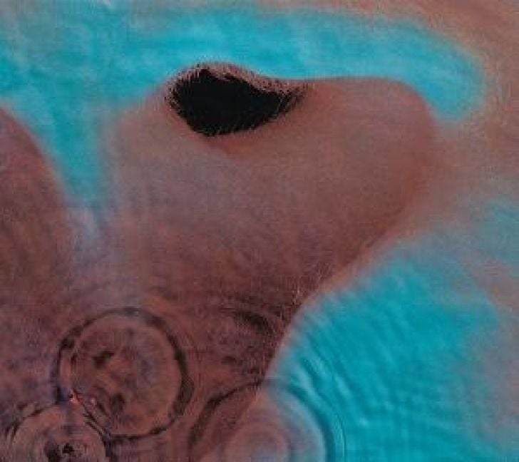 Produktbild: Meddle