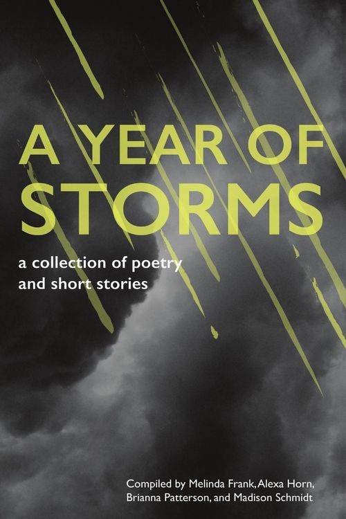 Produktbild: A Year of Storms