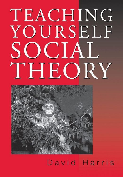 Produktbild: Teaching Yourself Social Theory