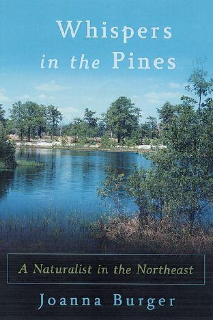 Produktbild: Whispers in the Pines