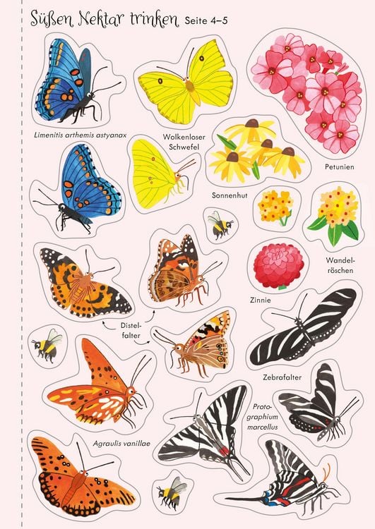 Produktbild: Mein Immer-wieder-Stickerbuch: Schmetterlinge