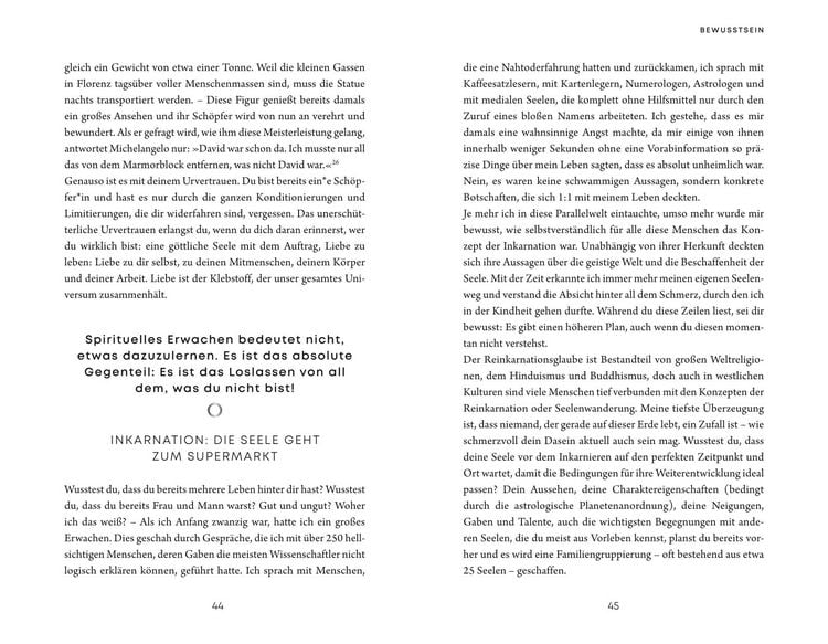 Produktbild: Soul Master - SPIEGEL-Bestseller #1