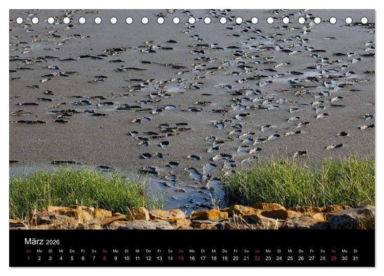 Produktbild: Wattenmeer (Tischkalender 2026 DIN A5 quer), CALVENDO Monatskalender