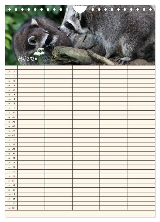 Produktbild: Waschb&auml;ren Familienplaner (Wandkalender 2026 DIN A4 hoch), CALVENDO Monatskalender