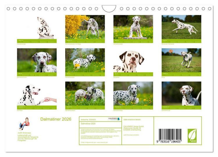 Produktbild: Dalmatiner 2026 (Wandkalender 2026 DIN A4 quer), CALVENDO Monatskalender