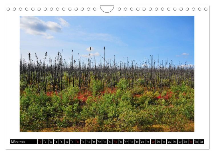 Produktbild: Yukon Territory - Der Nordwesten Kanadas (Wandkalender 2026 DIN A4 quer), CALVENDO Monatskalender