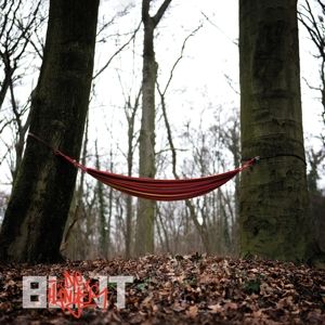 Produktbild: Bunt(LP)