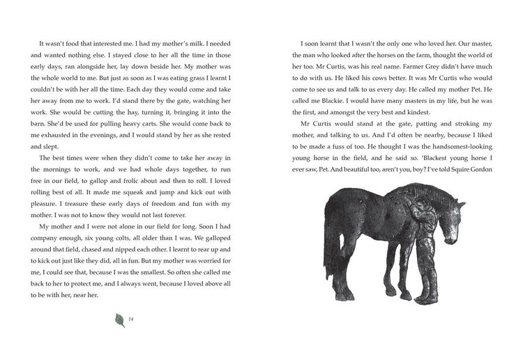 Produktbild: Black Beauty