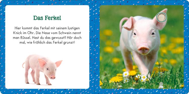Produktbild: Soundbuch f&uuml;r Klitzekleine &ndash; Bauernhoftiere
