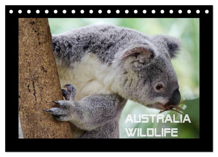 Produktbild: Australia Wildlife (Tischkalender 2026 DIN A5 quer), CALVENDO Monatskalender