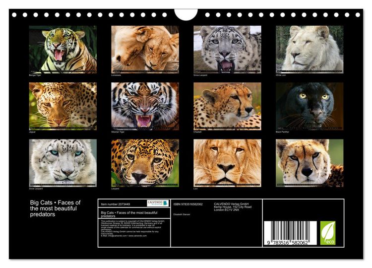 Produktbild: Big Cats &bull; Faces of the most beautiful predators (Wall Calendar 2026 DIN A4 landscape), CALVENDO 12 Month Wall Calendar