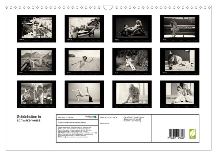 Produktbild: Sch&ouml;nheiten in schwarz-weiss (Wandkalender 2026 DIN A3 quer), CALVENDO Monatskalender