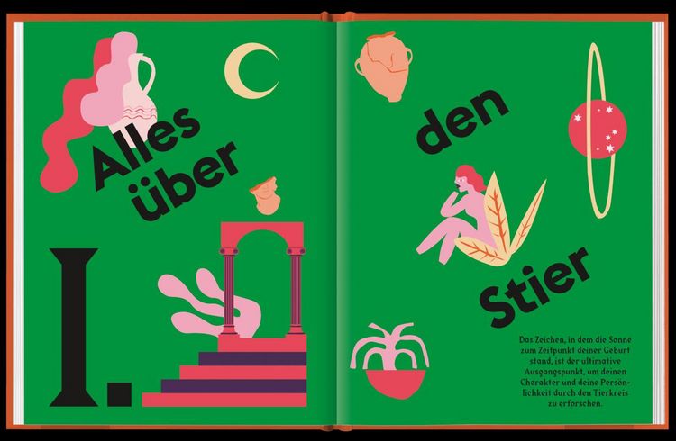 Produktbild: Stier