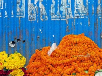 Produktbild: CALVENDO Puzzle Blaue Wand auf dem Blumenmarkt | 1000 Teile Lege-Gr&ouml;&szlig;e 64x48cm Foto-Puzzle f&uuml;r gl&uuml;ckliche Stunden