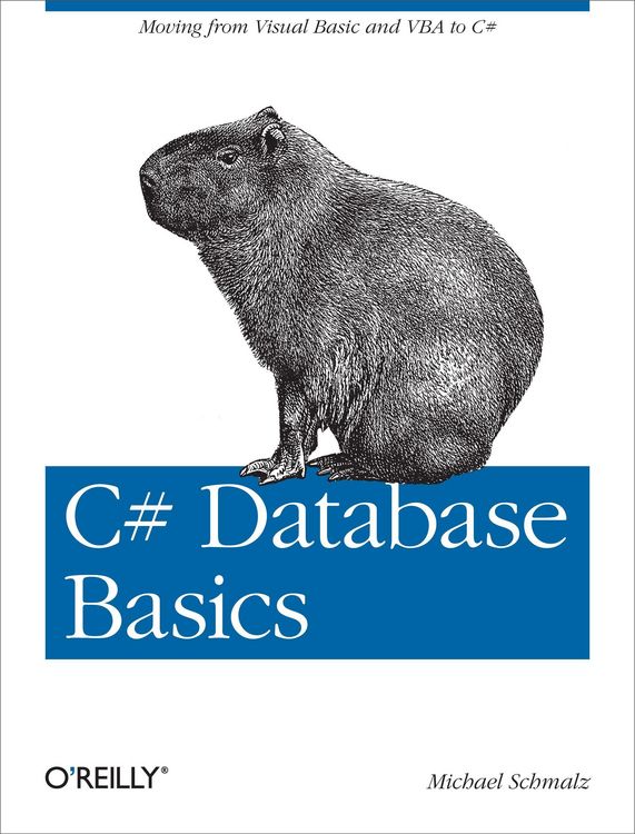 Produktbild: C# Database Basics