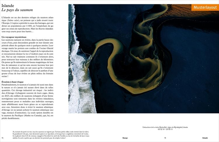 Produktbild: Das Wasser der Erde