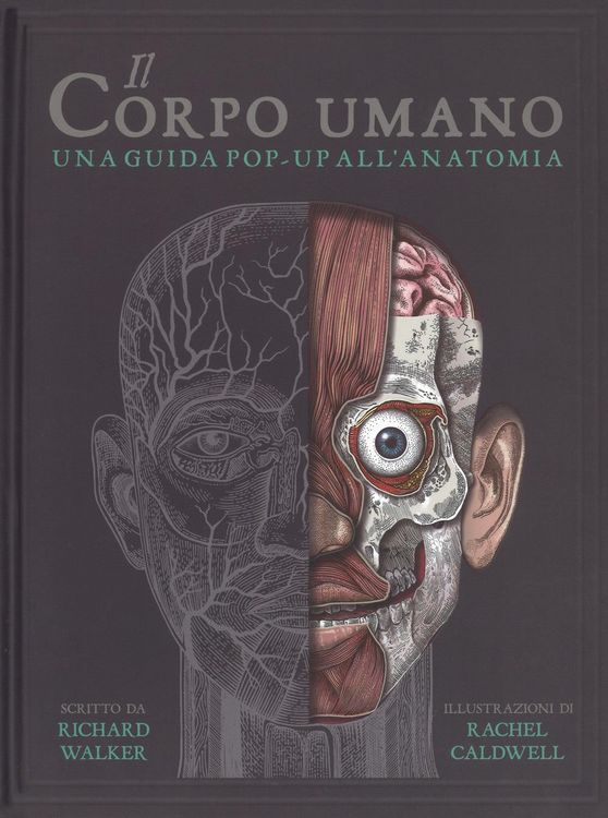 Produktbild: Il corpo umano. Una guida pop-up all'anatomia