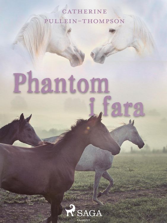 Produktbild: Phantom i fara