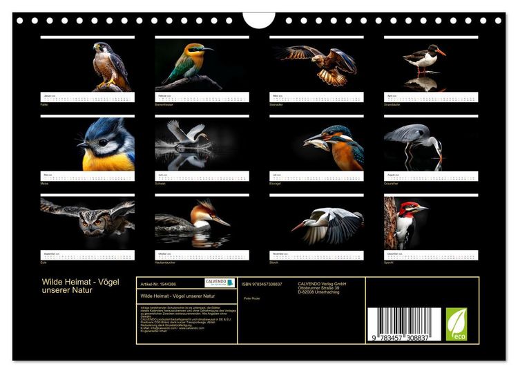 Produktbild: Wilde Heimat - V&ouml;gel unserer Natur (Wandkalender 2026 DIN A4 quer), CALVENDO Monatskalender