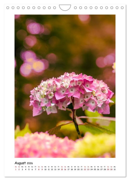 Produktbild: Bubble Bokeh (Wandkalender 2026 DIN A4 hoch), CALVENDO Monatskalender
