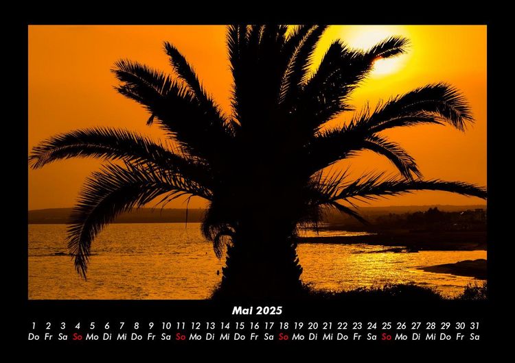 Produktbild: Palmentraum 2025 Fotokalender DIN A3