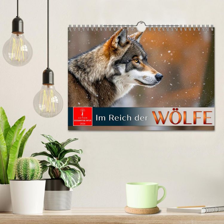 Produktbild: Im Reich der W&ouml;lfe (Wandkalender 2026 DIN A4 quer), CALVENDO Monatskalender